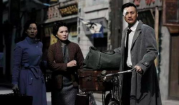 大陆谍战片电视剧排行榜,大陆谍战剧巅峰对决，揭秘热门排行背后的精彩故事